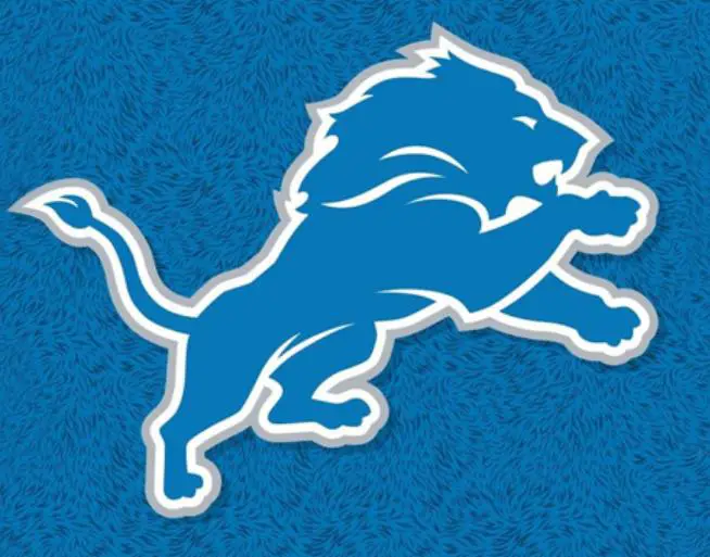 Detroit Lions banner