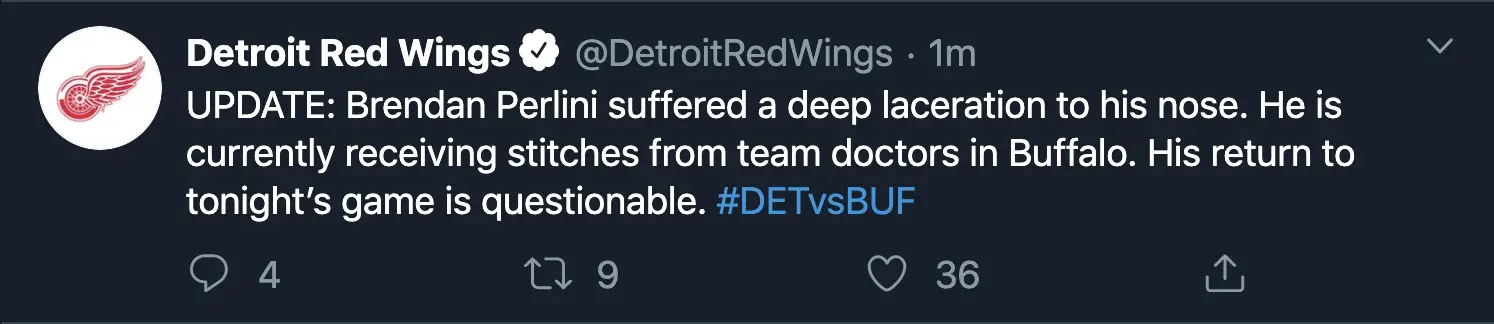 Detroit Red Wings, Brendan Perlini