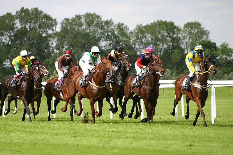 800px-Horse-racing-1