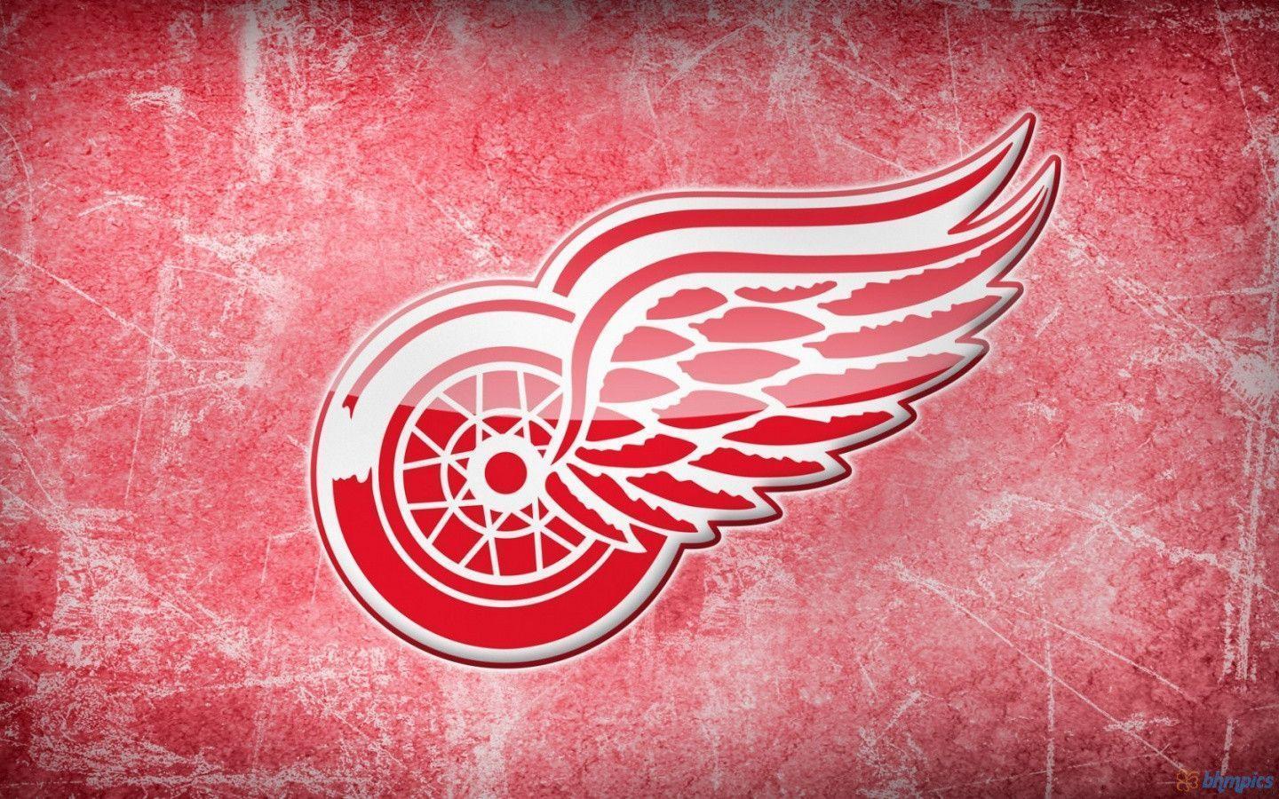 Detroit Red Wings Ice Storm