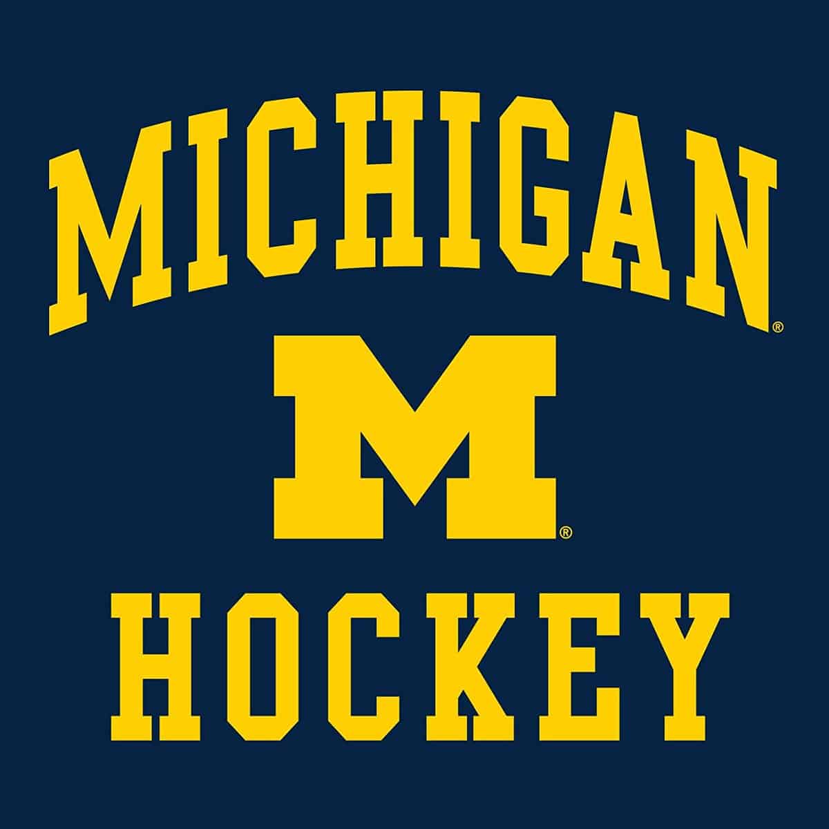 Michigan Hockey 2023 Frozen Four