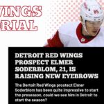 Red Wings prosect Elmer Soderblom