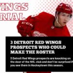 Detroit Red Wings prospects