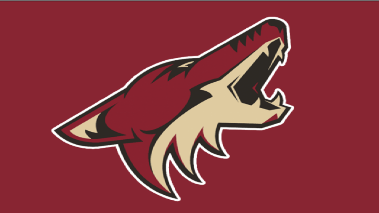 Tempe voters reject Arizona Coyotes' arena proposal. Uncertainty looms for the franchise. Explore the implications and potential relocation options.