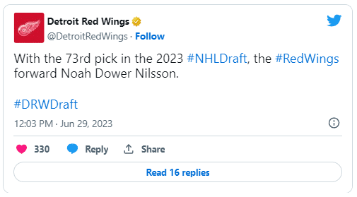 Detroit Red Wings Noah Dower Nilsson