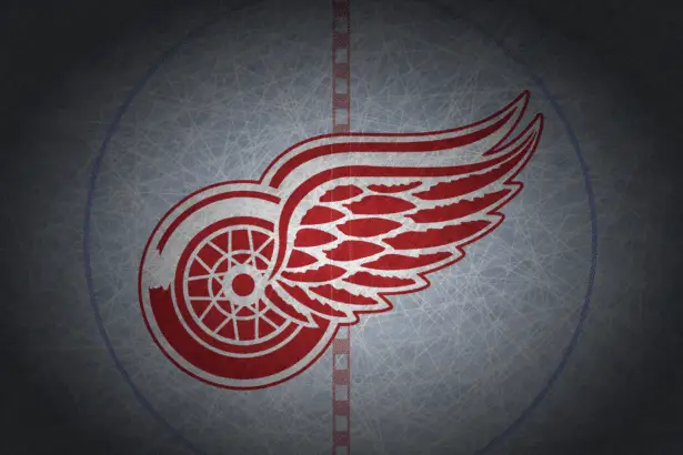2023-24 Detroit Red Wings Detroit Red Wings recall Zach Aston-Reese to replace Robby Fabbri