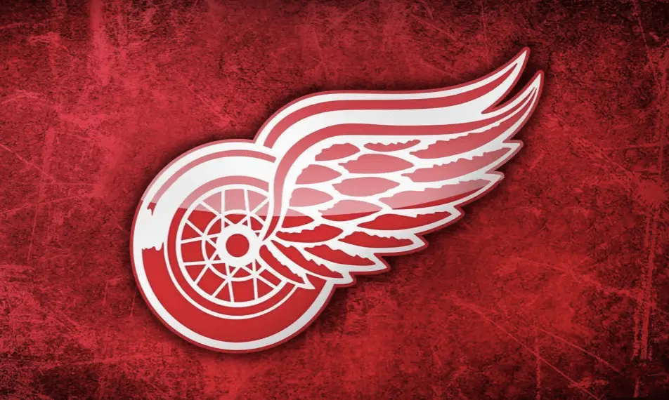 Detroit Red Wings excited