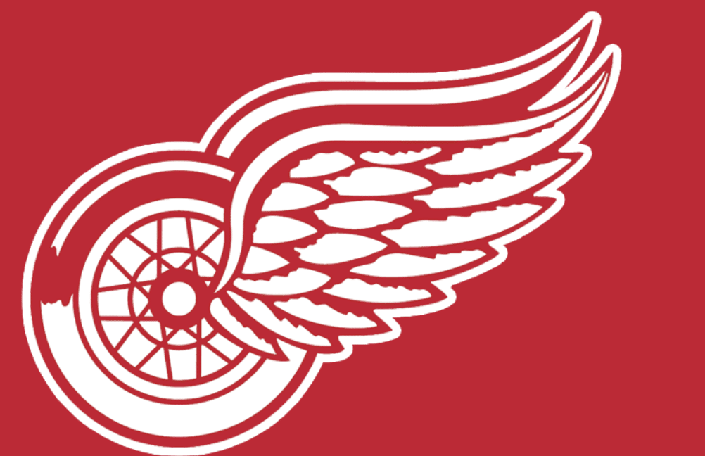 Detroit Red Wings frustrated