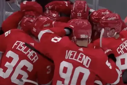Detroit Red Wings activate