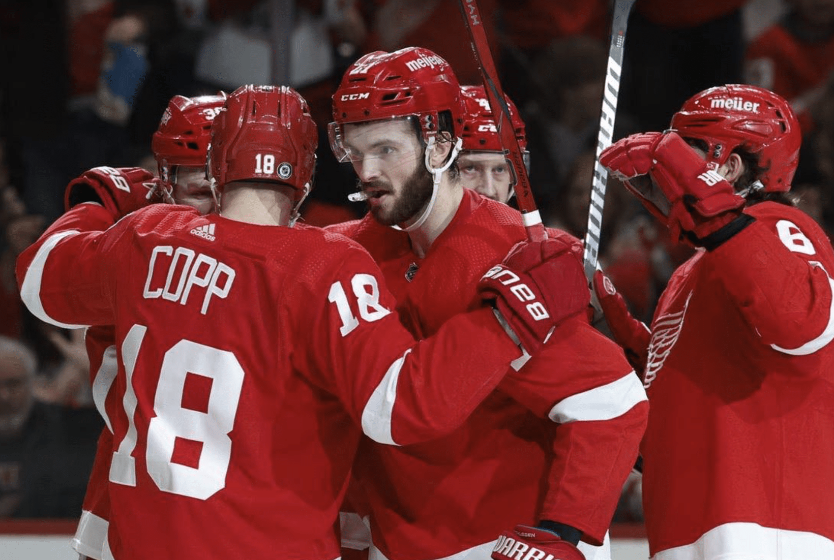 Detroit Red Wings report card Photo Credit: Rick Osentoski, USA Today Sports