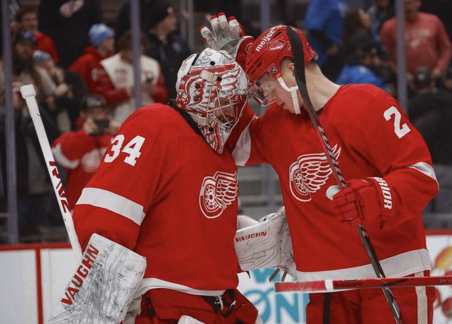 Detroit Red Wings ready Photo Credit - Brian Bradshaw Sevald - USA Today Sports