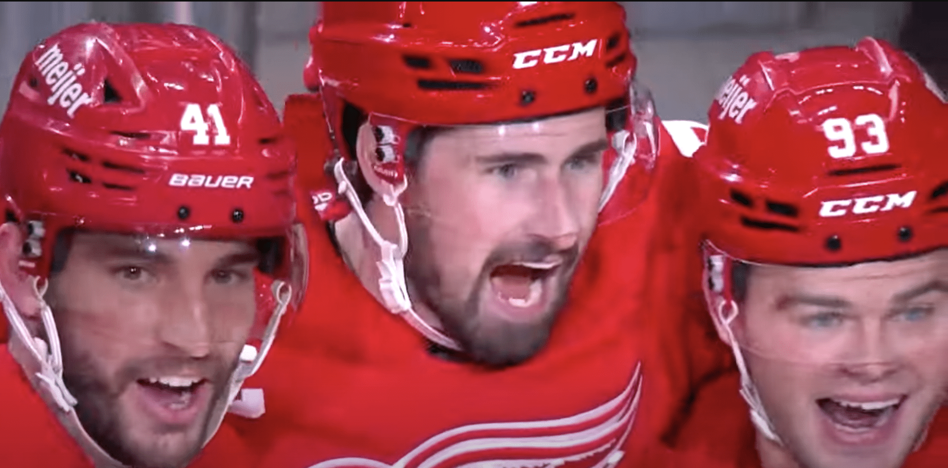 Detroit Red Wings praise their fans