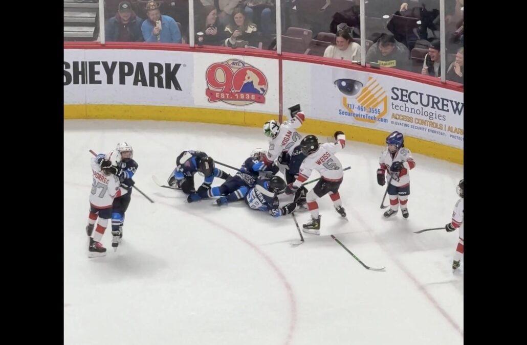 Hershey Bears intermission brawl