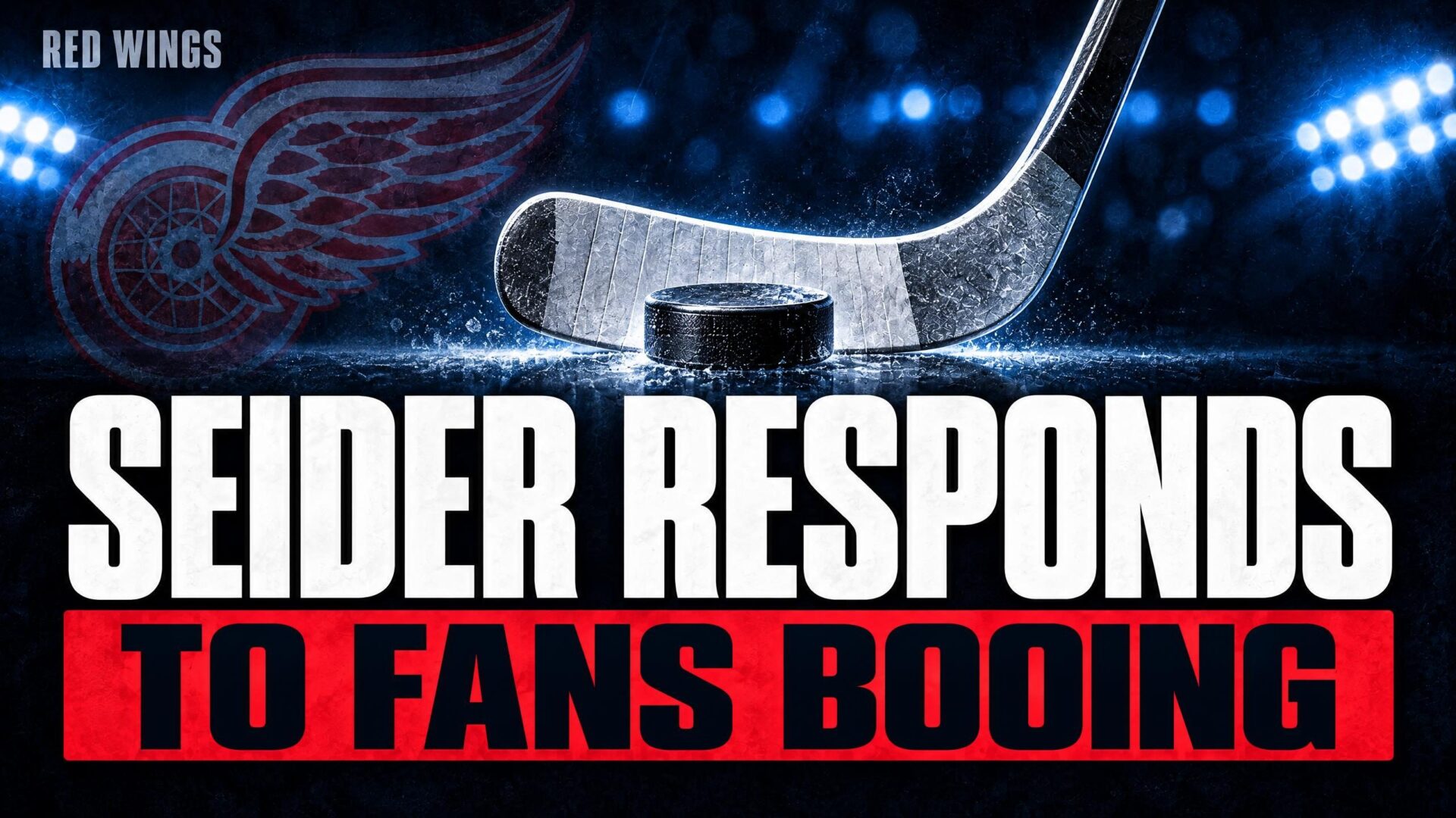 Moritz Seider Red Wings fans